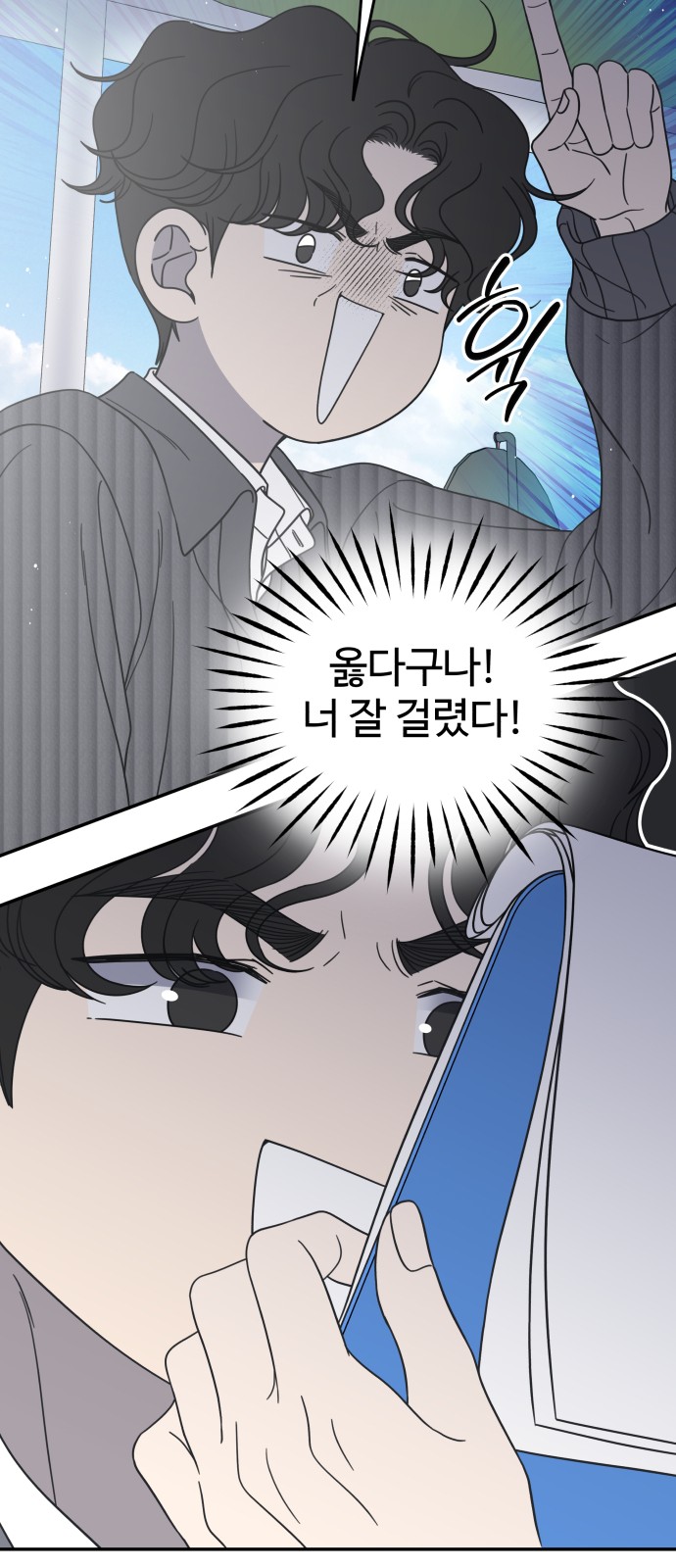 66 페이지