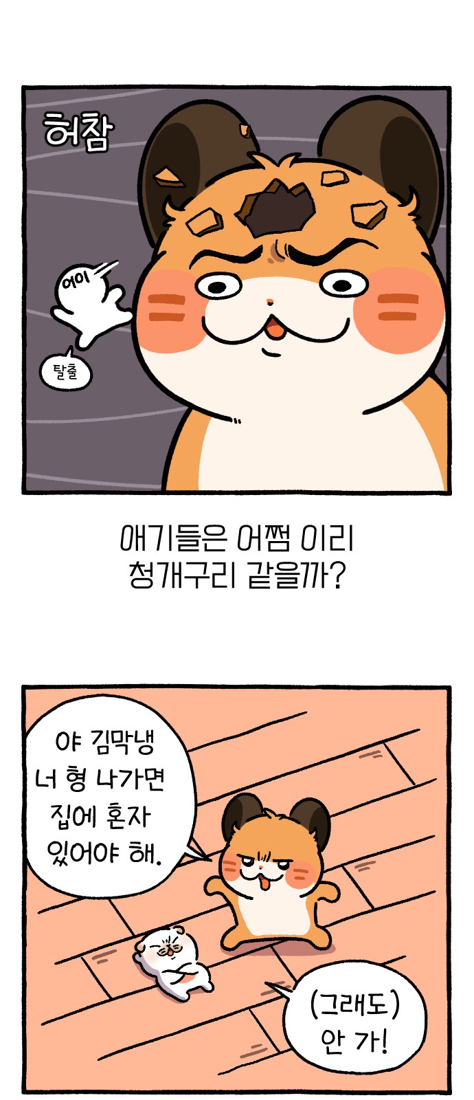 13 페이지