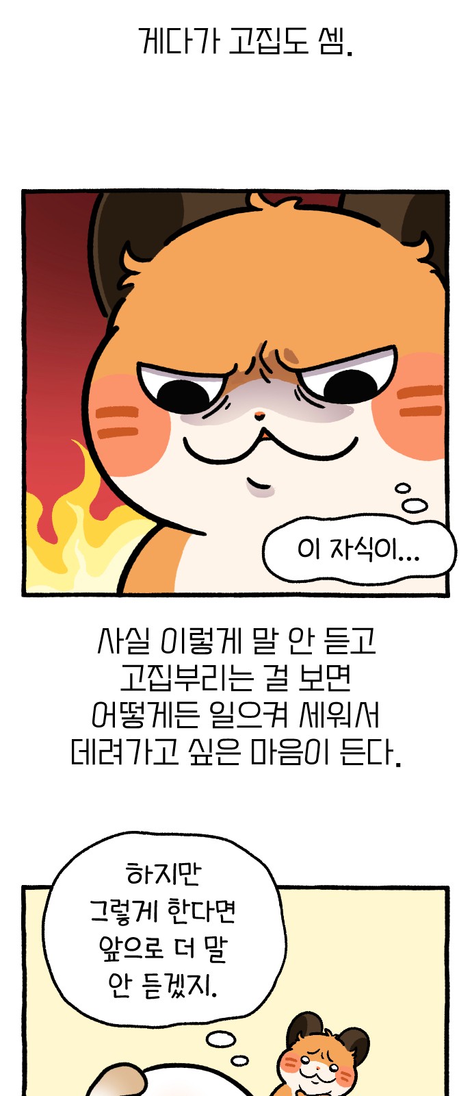 14 페이지