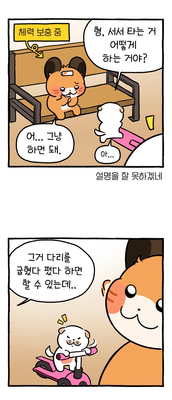 36 페이지