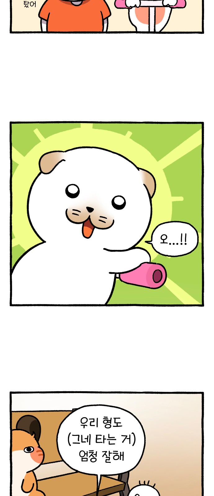 38 페이지