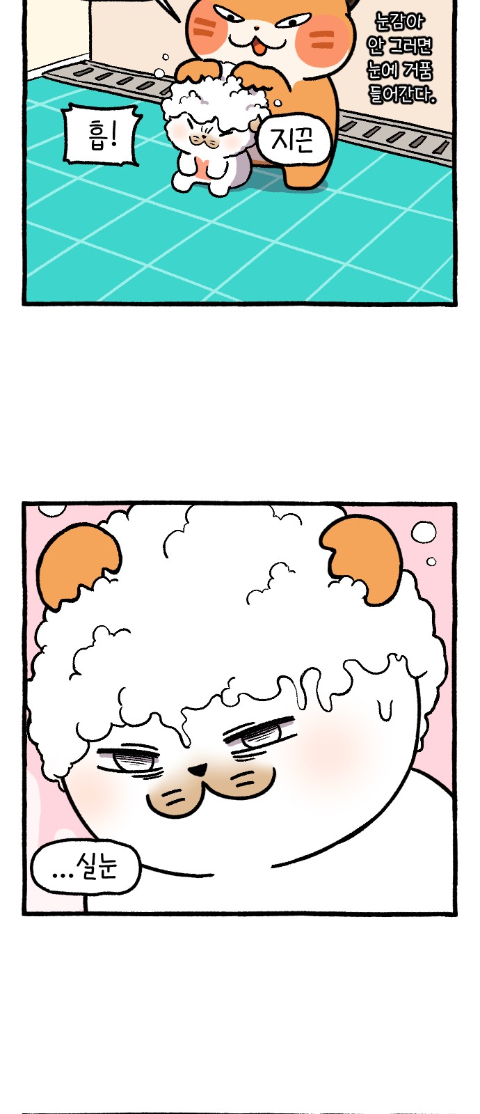 43 페이지