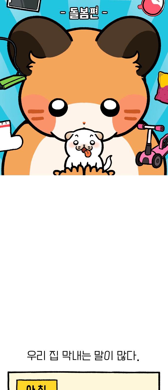 5 페이지