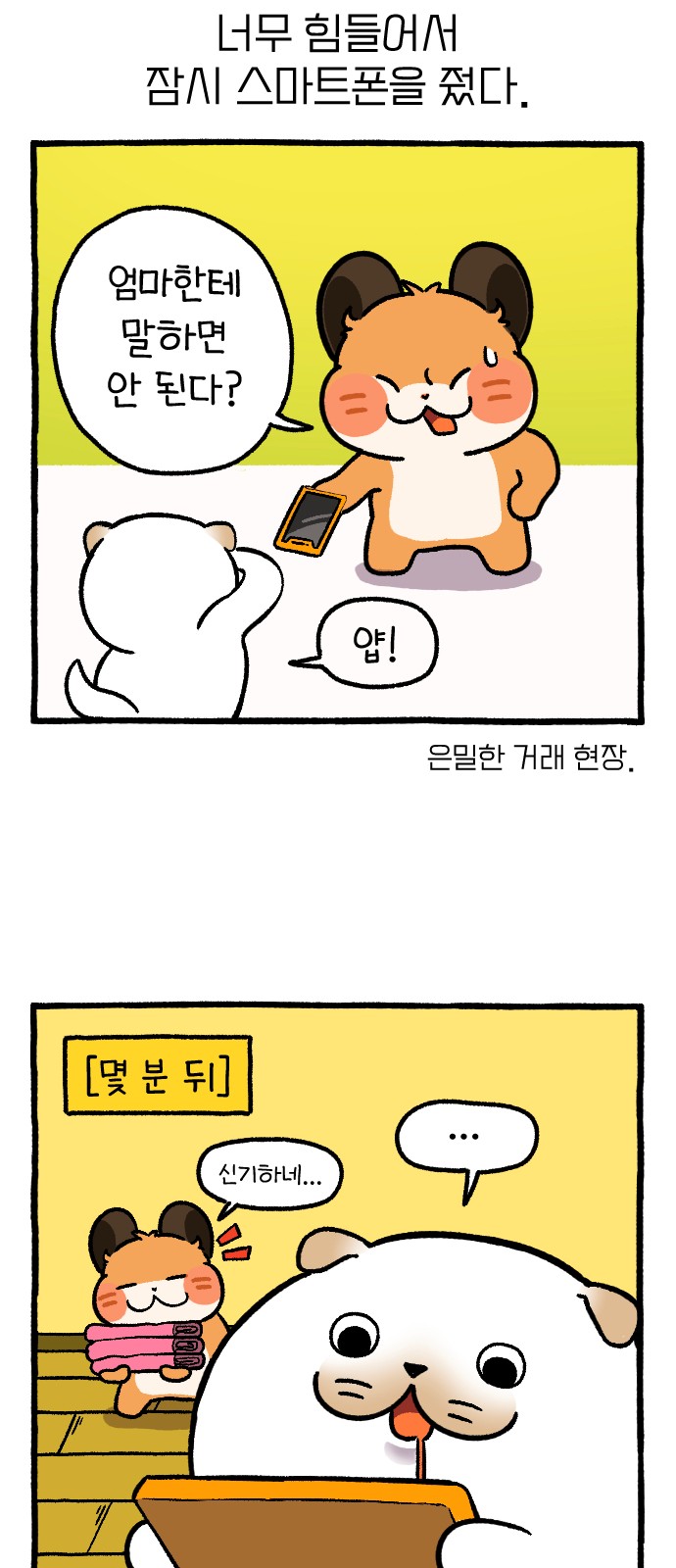 50 페이지