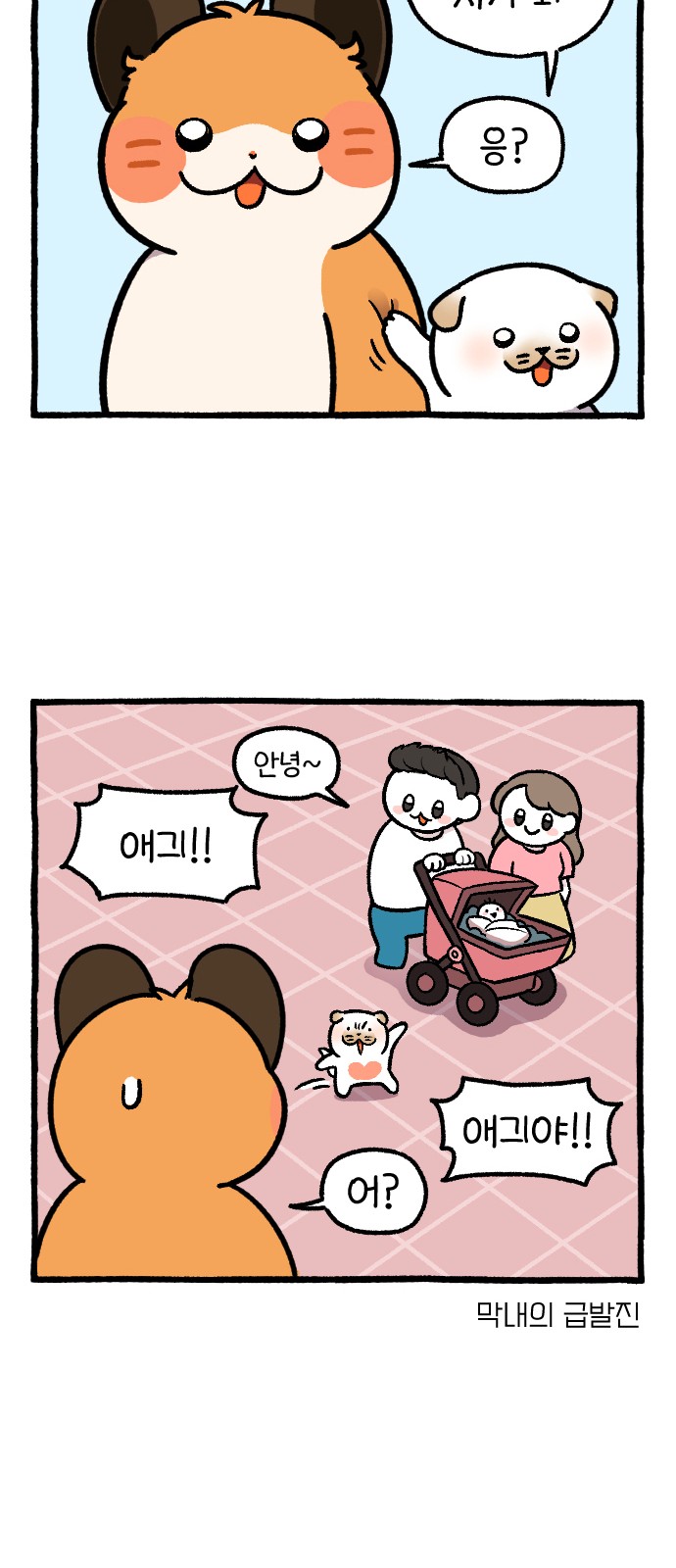 57 페이지
