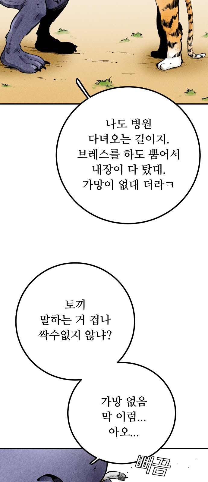 13 페이지