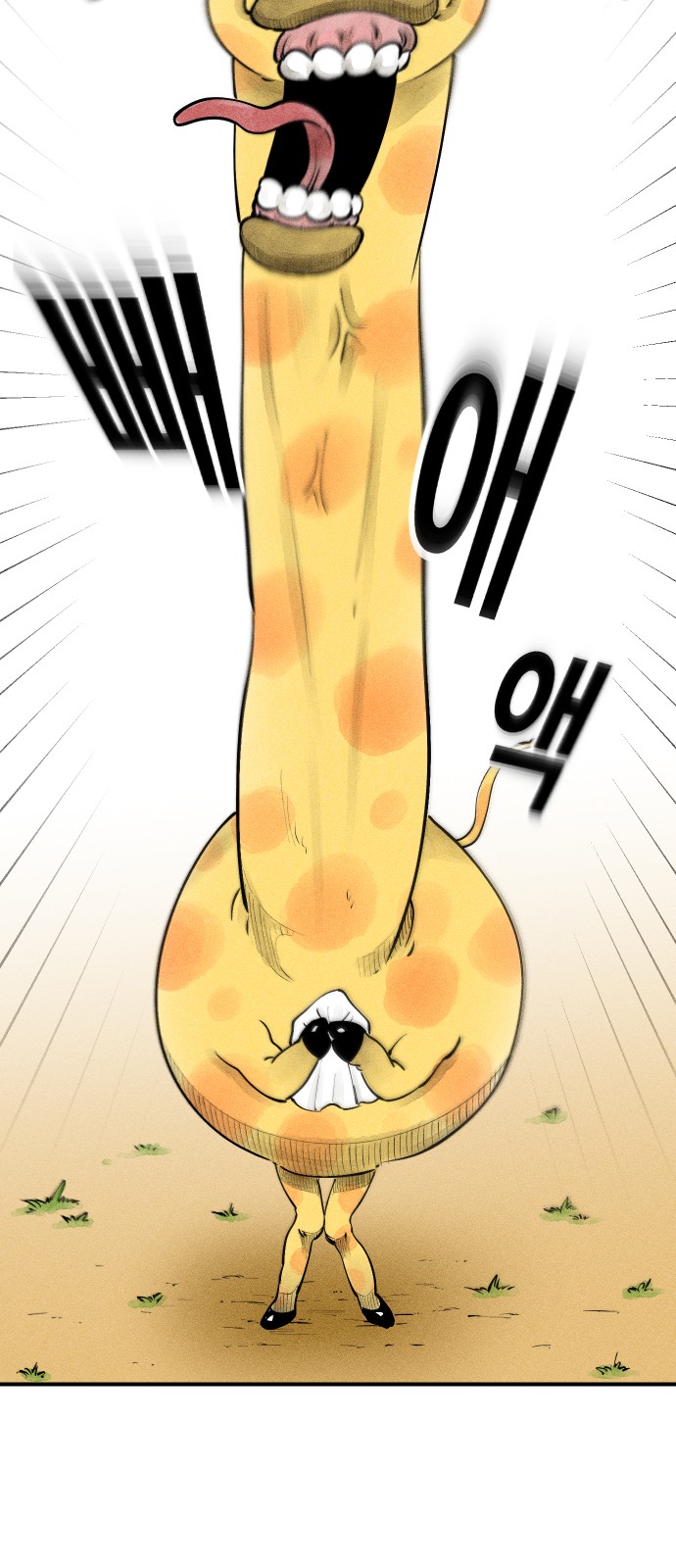 20 페이지