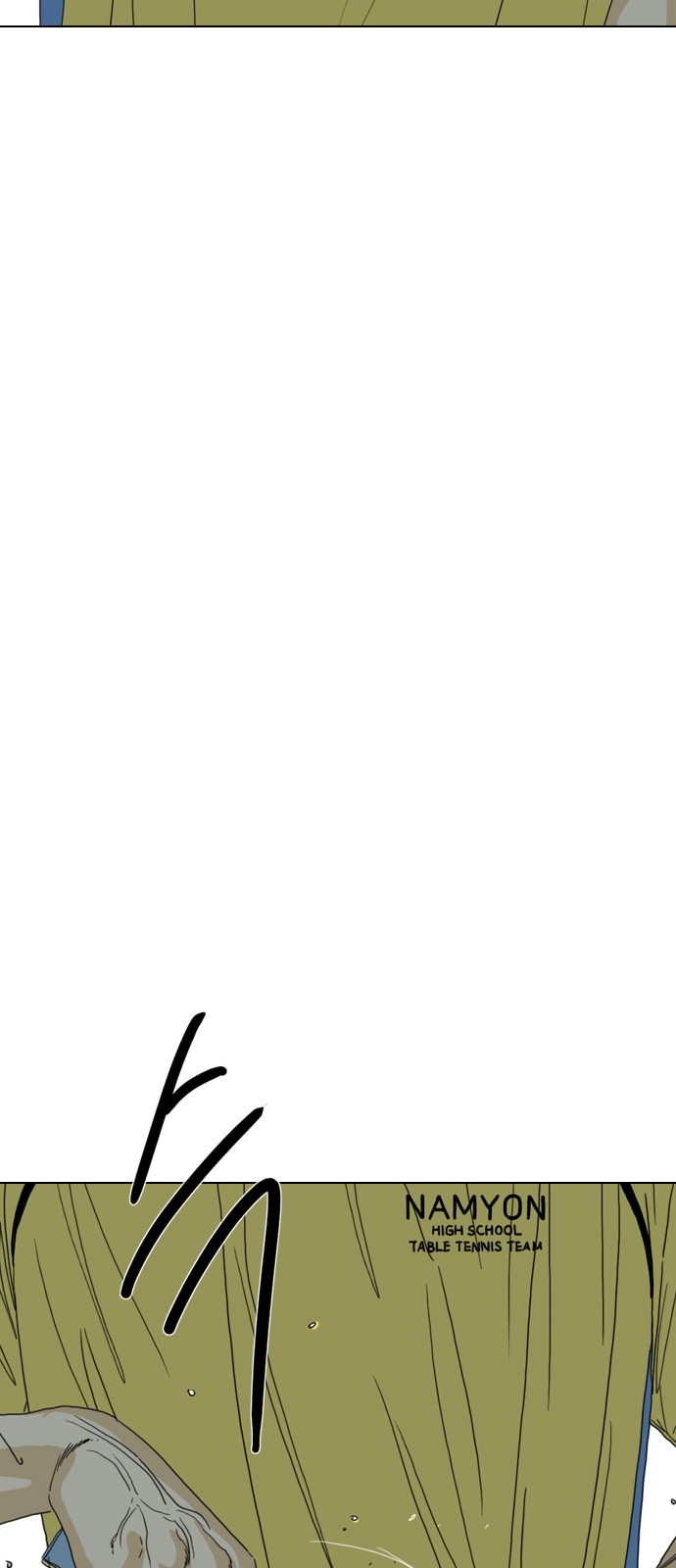 146 페이지