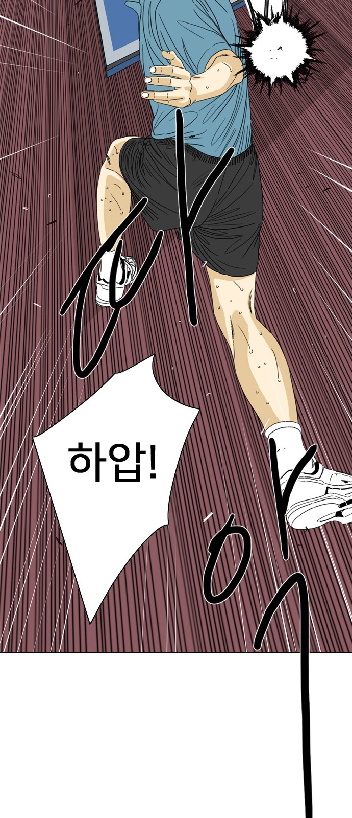 116 페이지