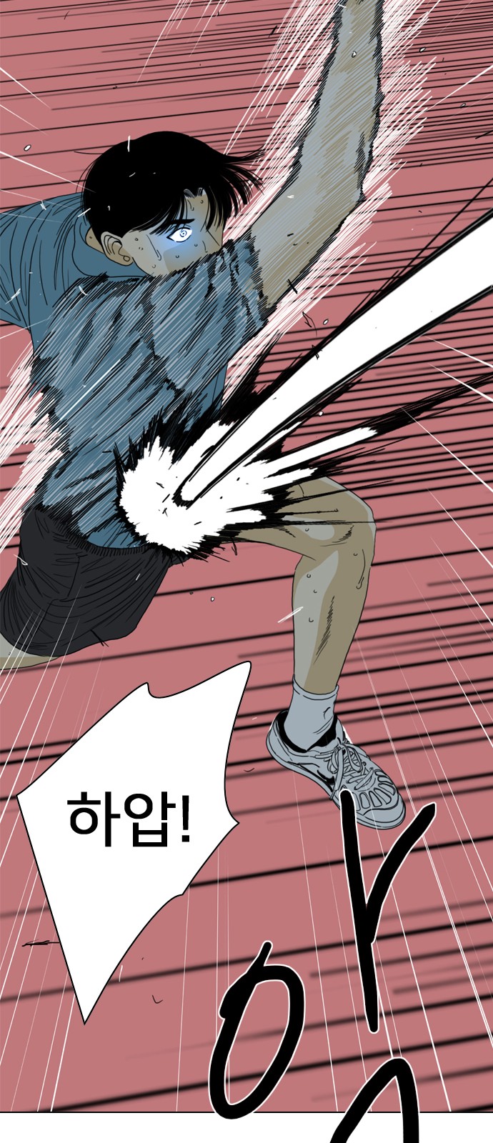 229 페이지