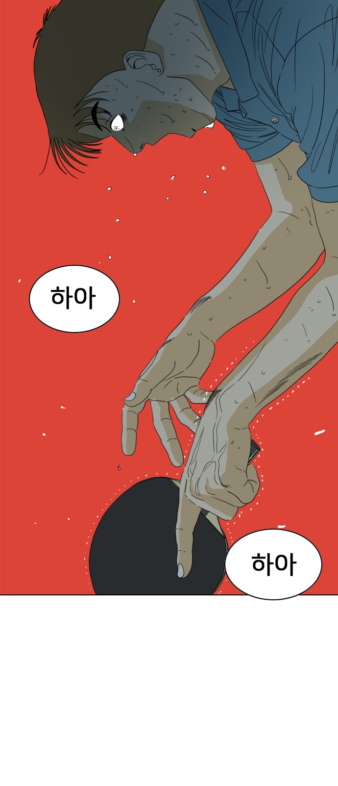 77 페이지