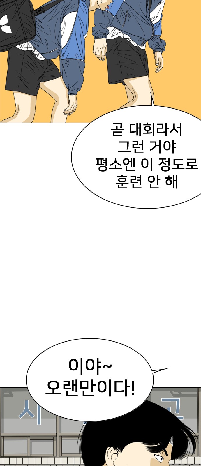 46 페이지