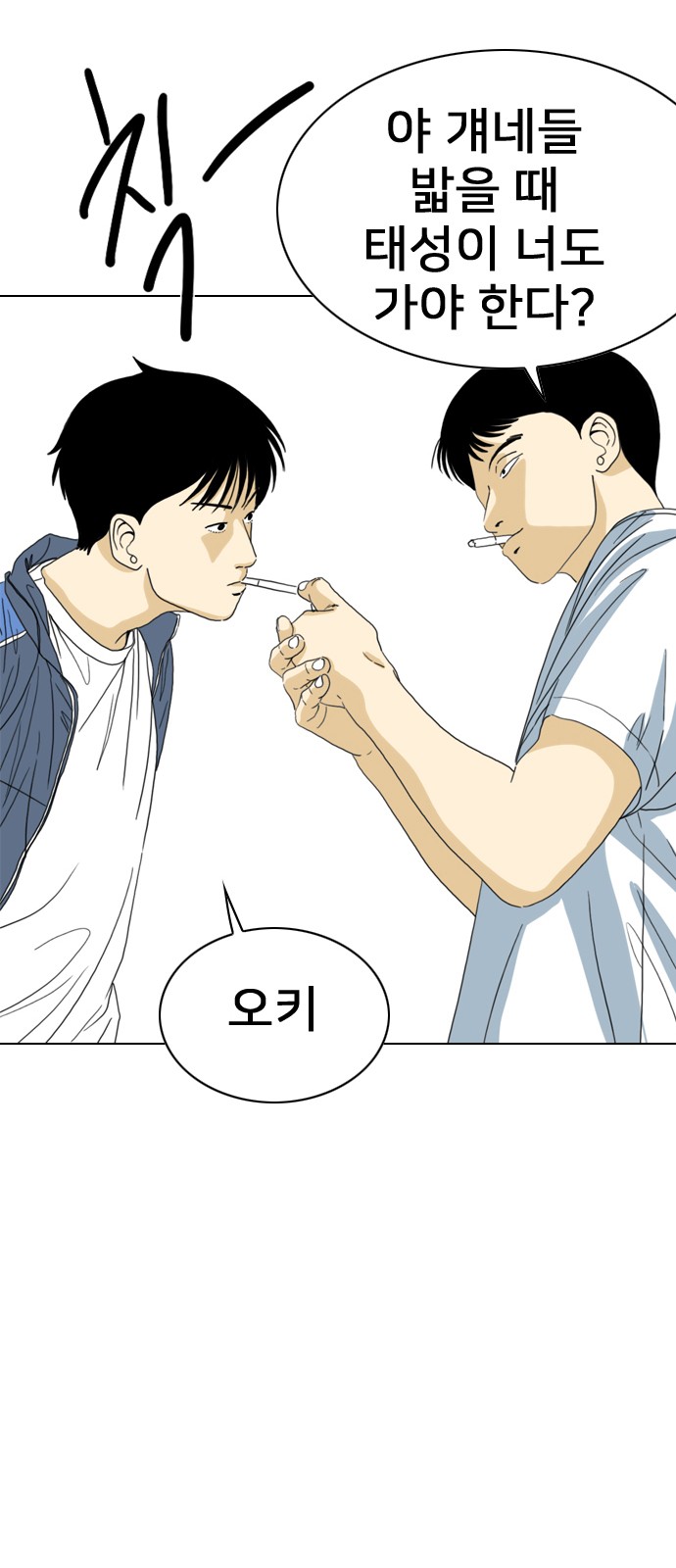 72 페이지
