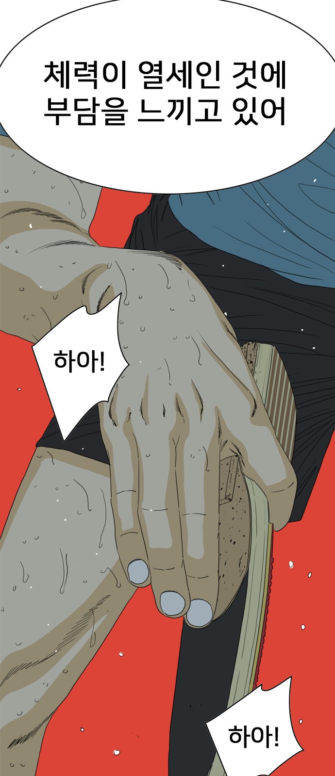 33 페이지