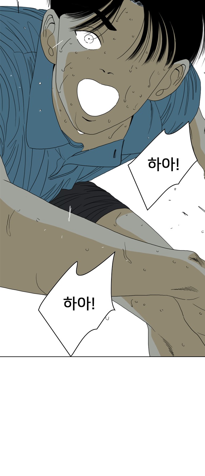 146 페이지