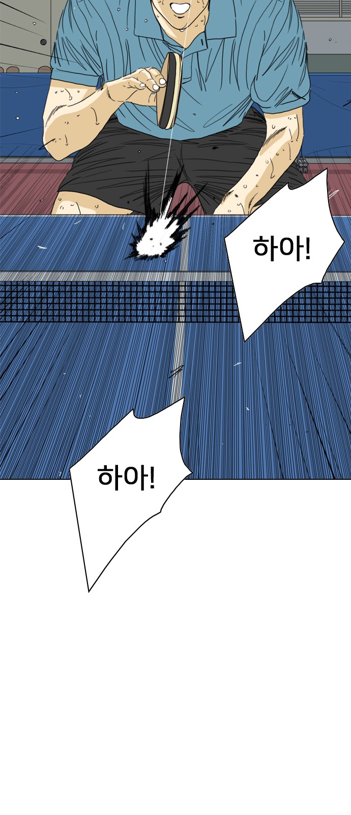 202 페이지