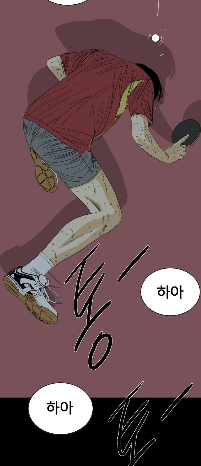 224 페이지
