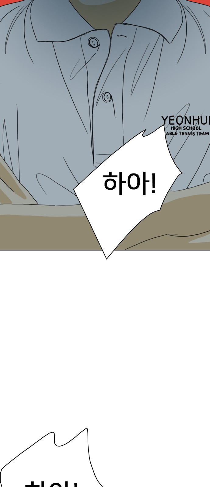 213 페이지