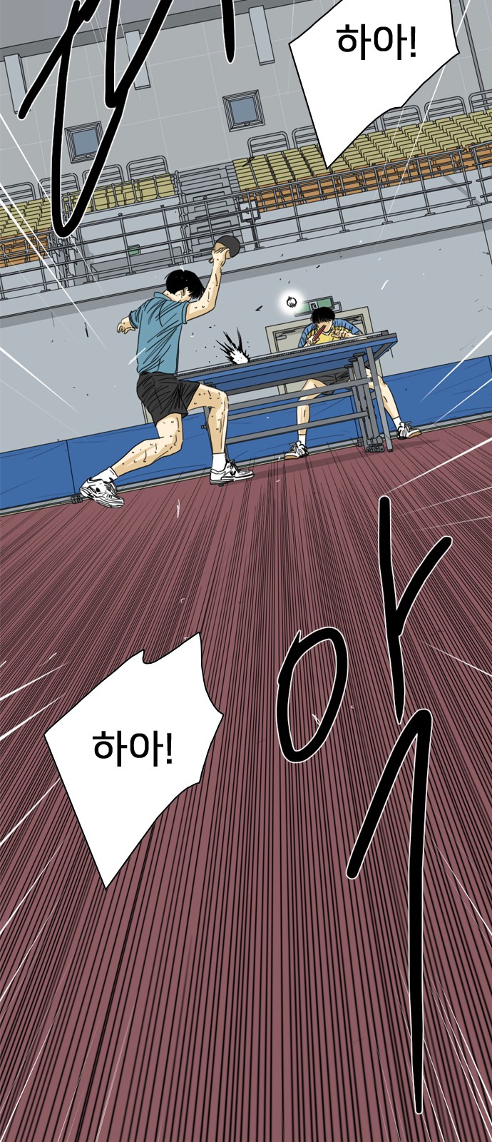 204 페이지