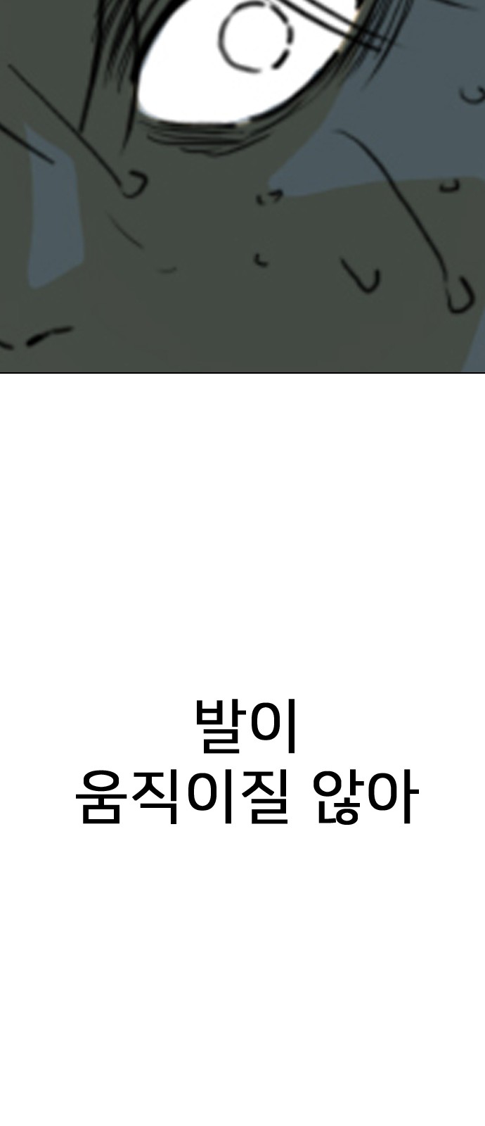 229 페이지