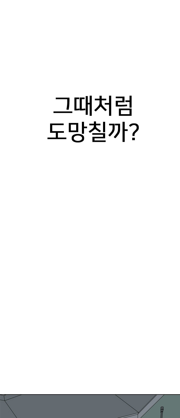 242 페이지