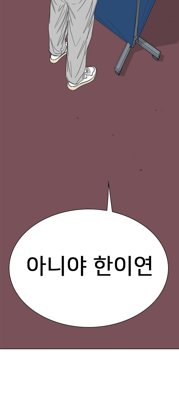 244 페이지