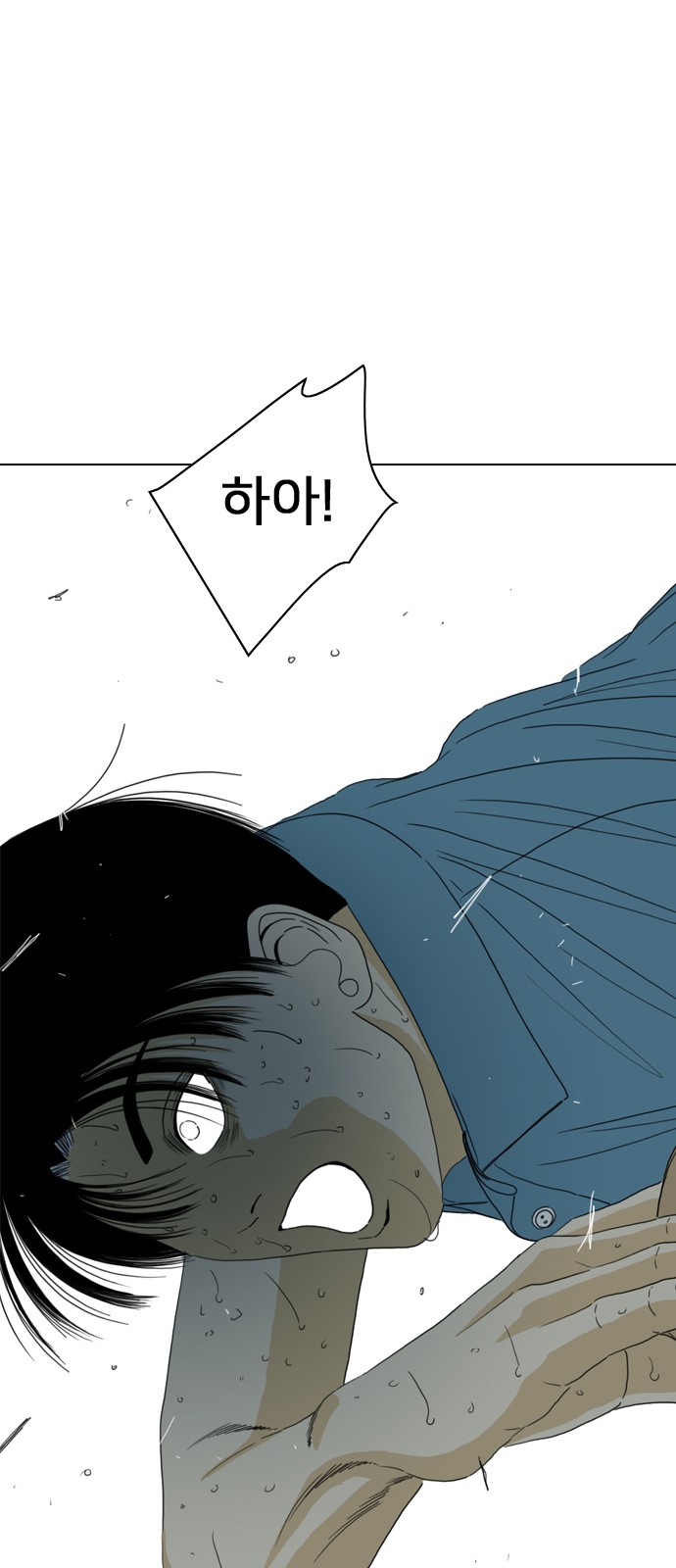 66 페이지