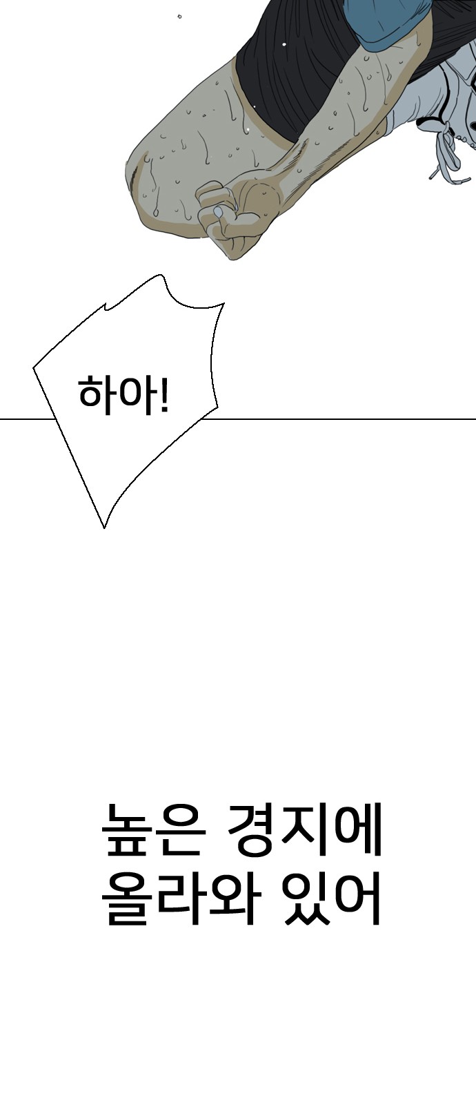 155 페이지