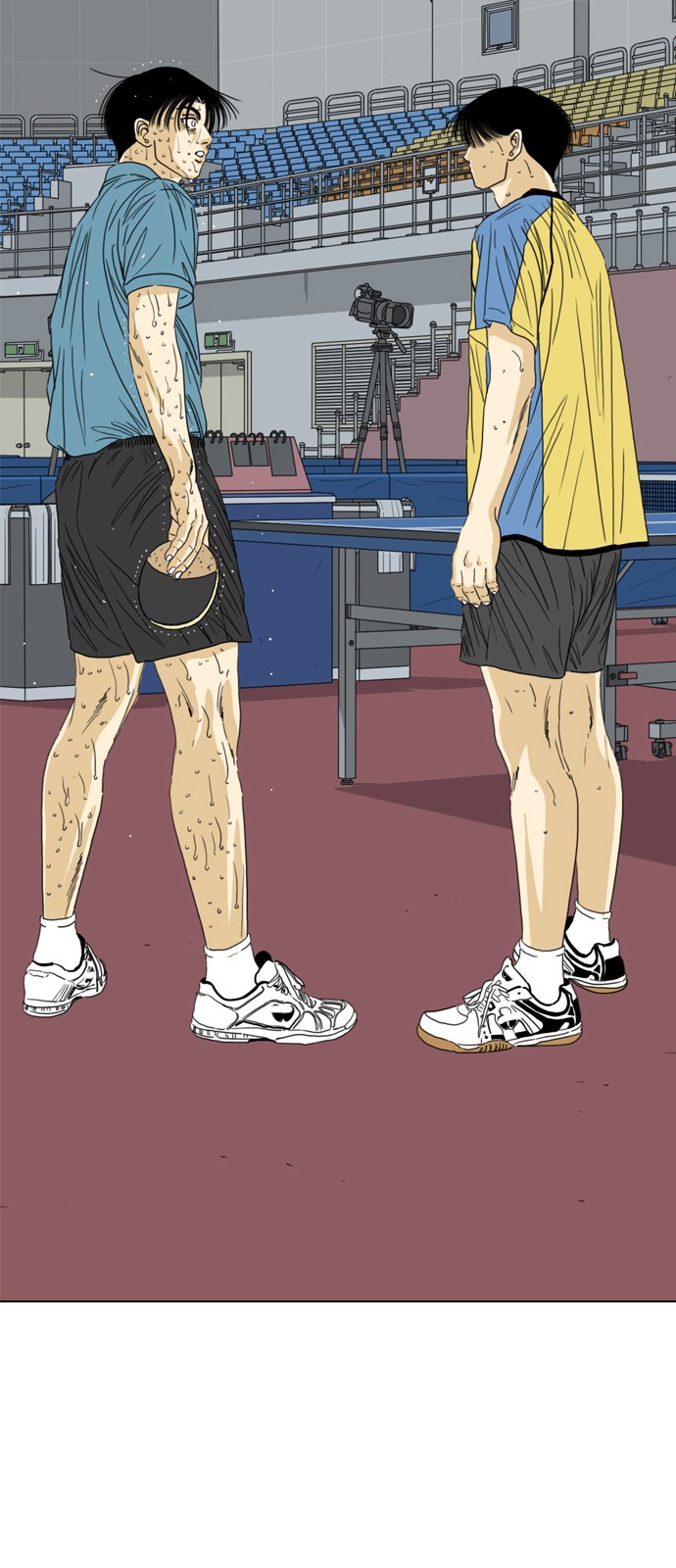 19 페이지