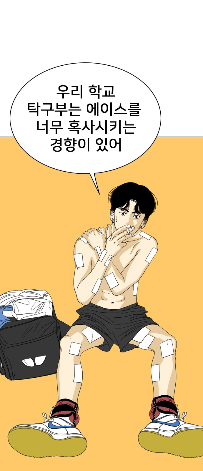 61 페이지