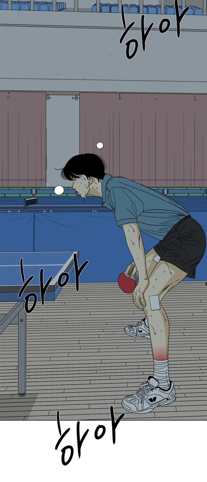 51 페이지