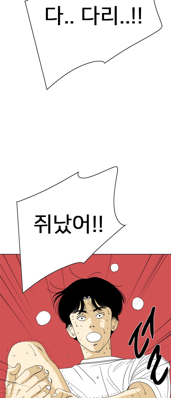 44 페이지