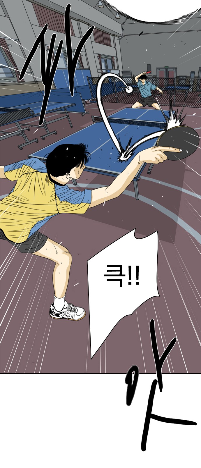 223 페이지