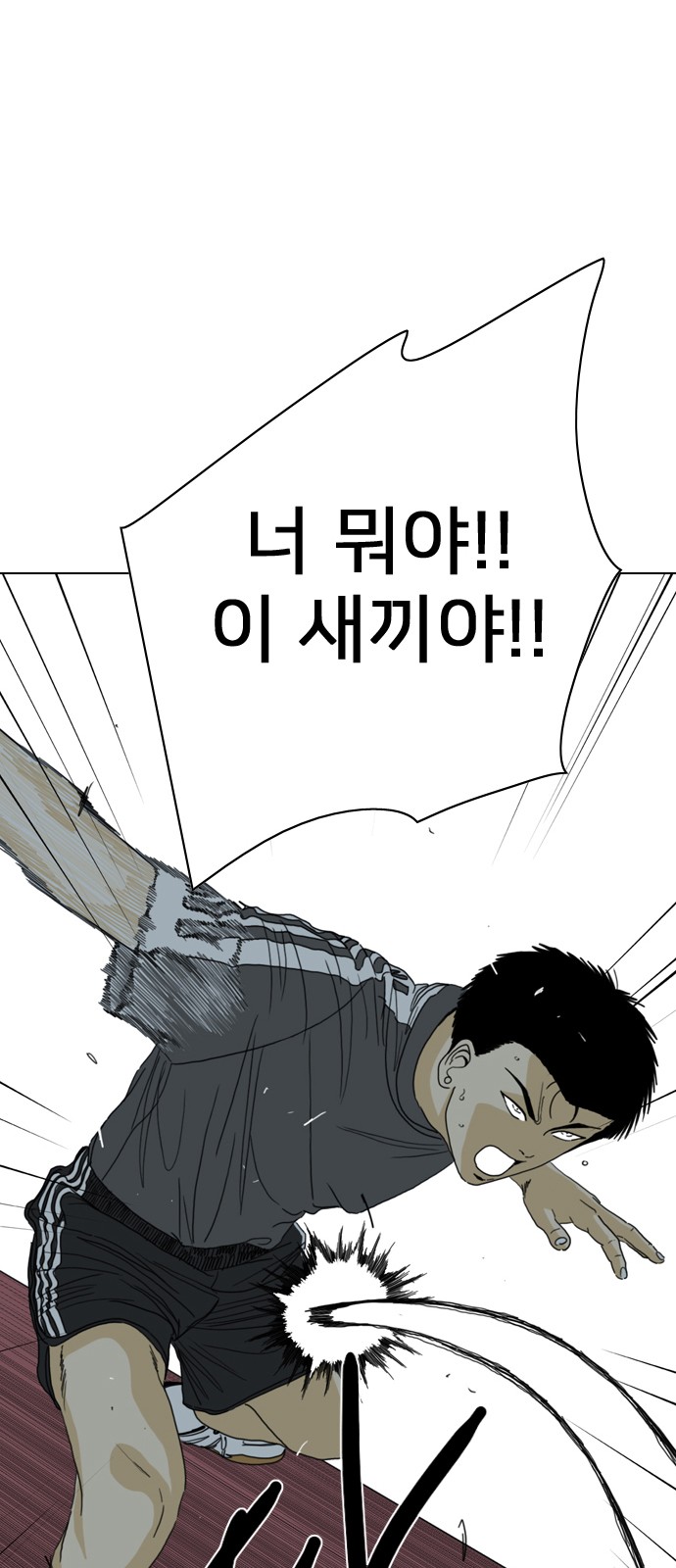 53 페이지