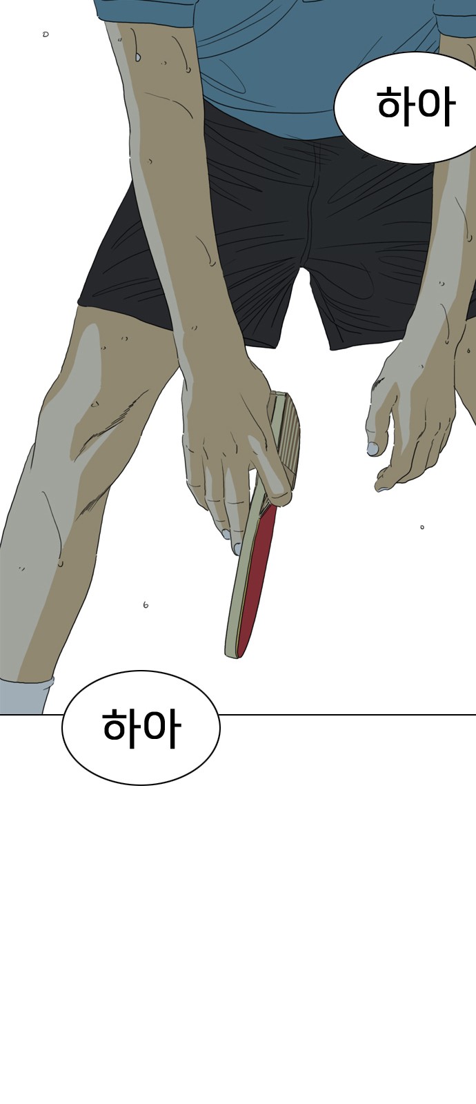 247 페이지