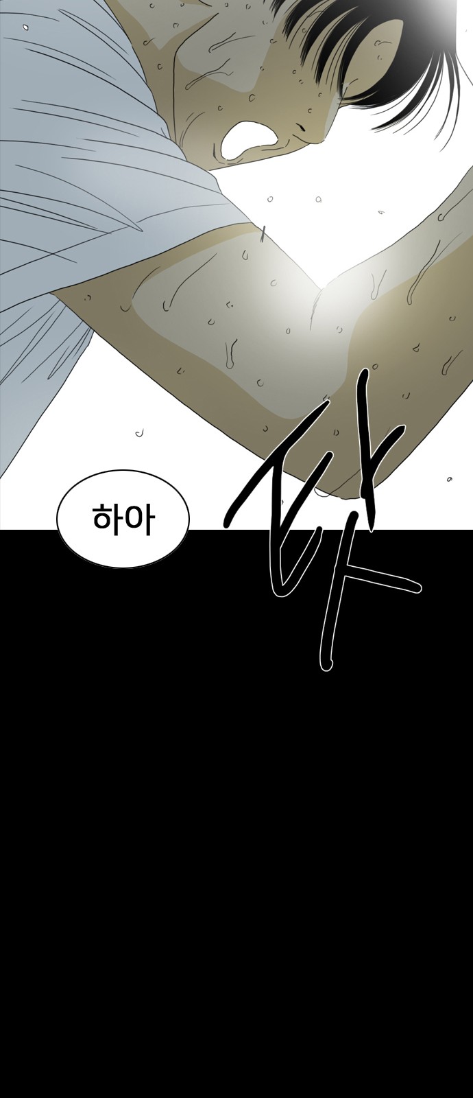221 페이지
