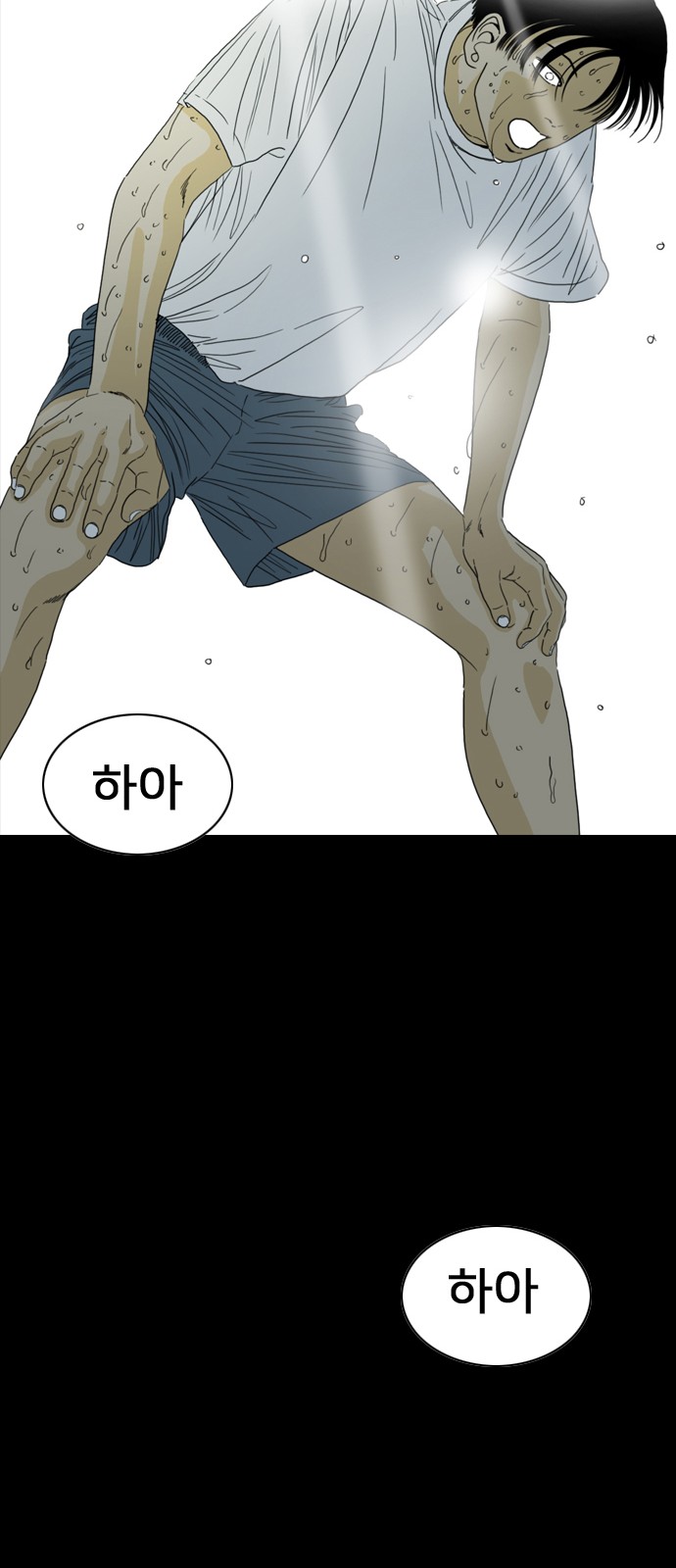 231 페이지