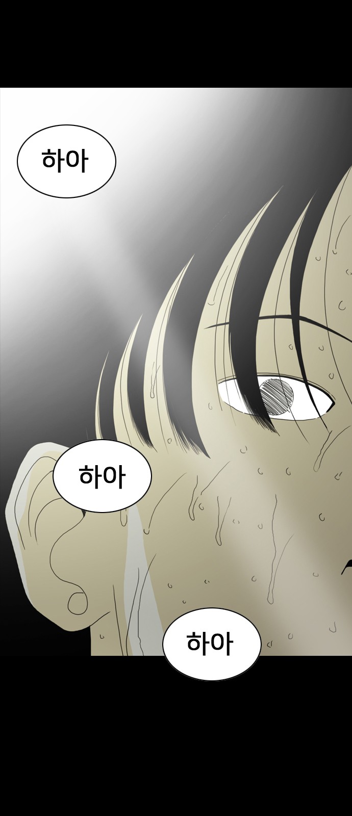 232 페이지