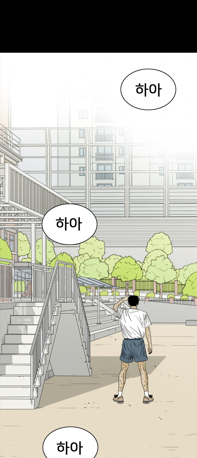 242 페이지