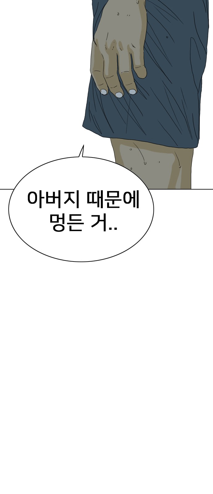 243 페이지