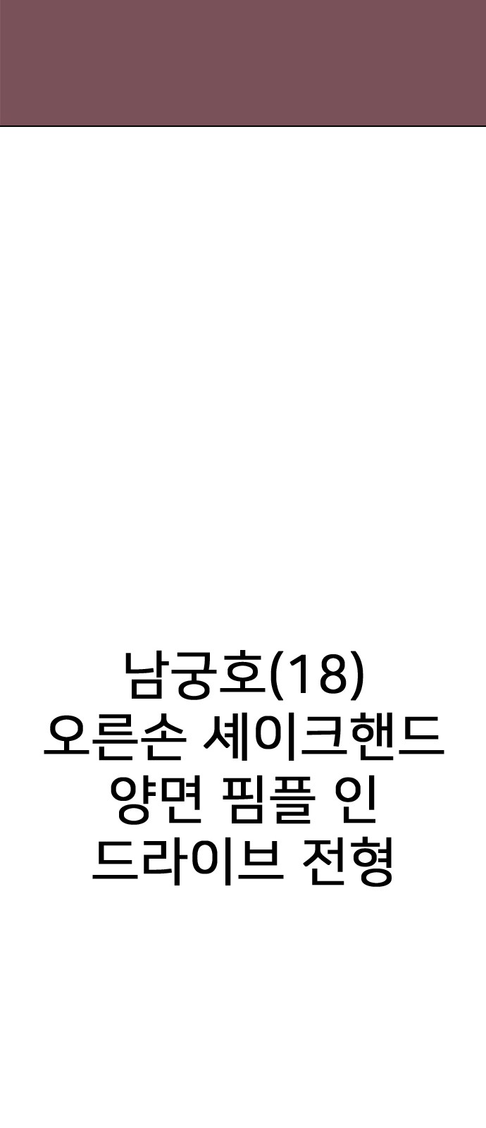 252 페이지