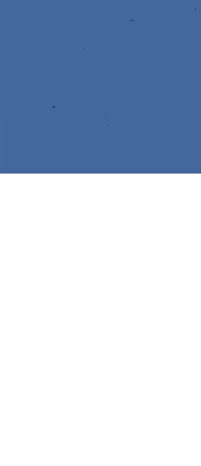 221 페이지
