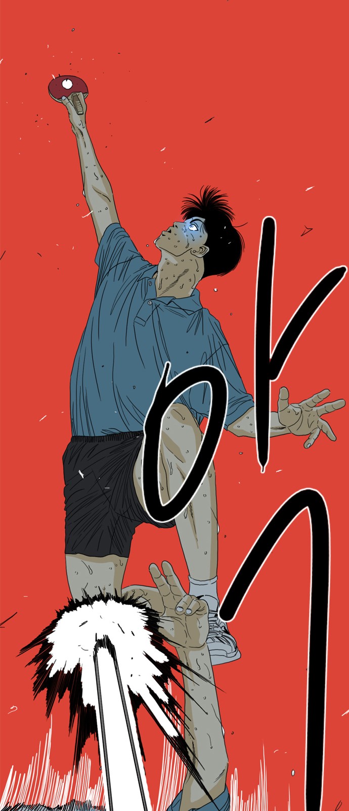 242 페이지