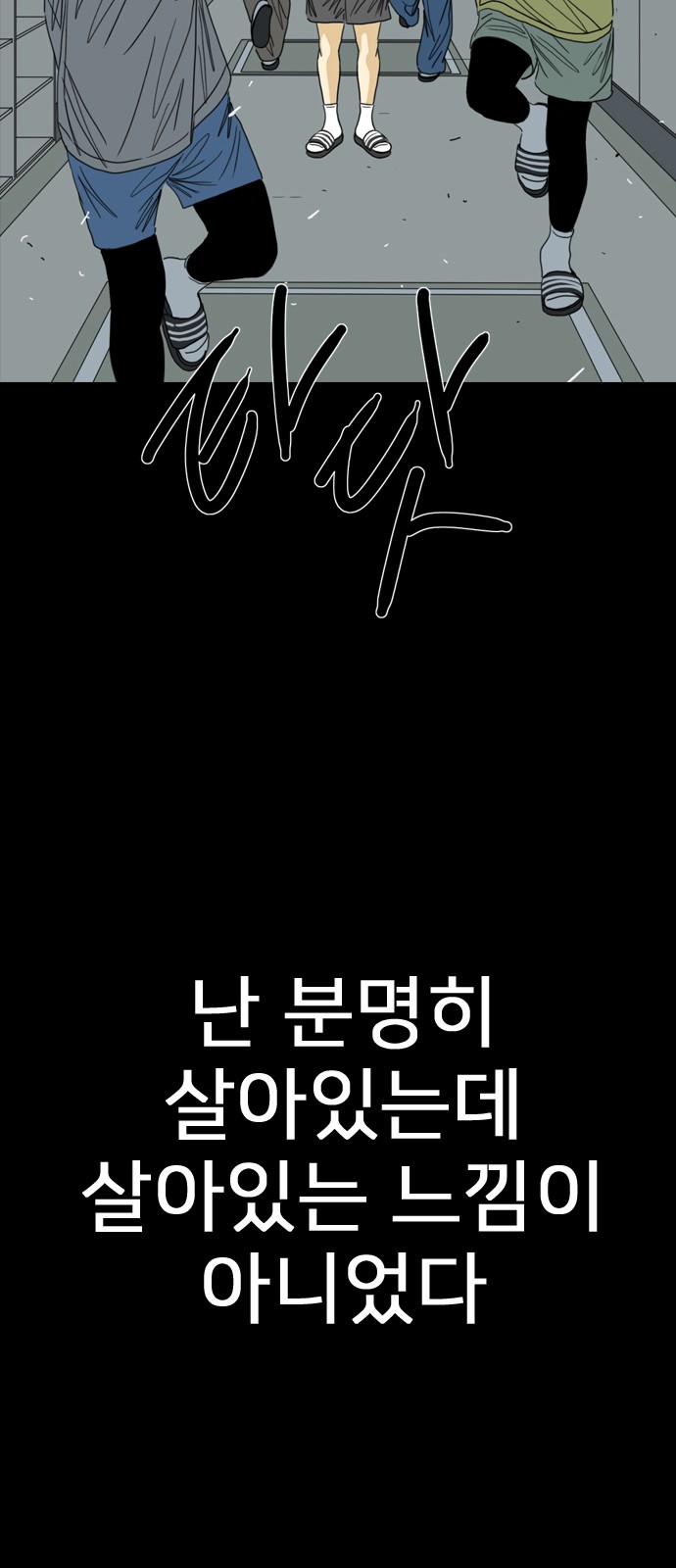 113 페이지