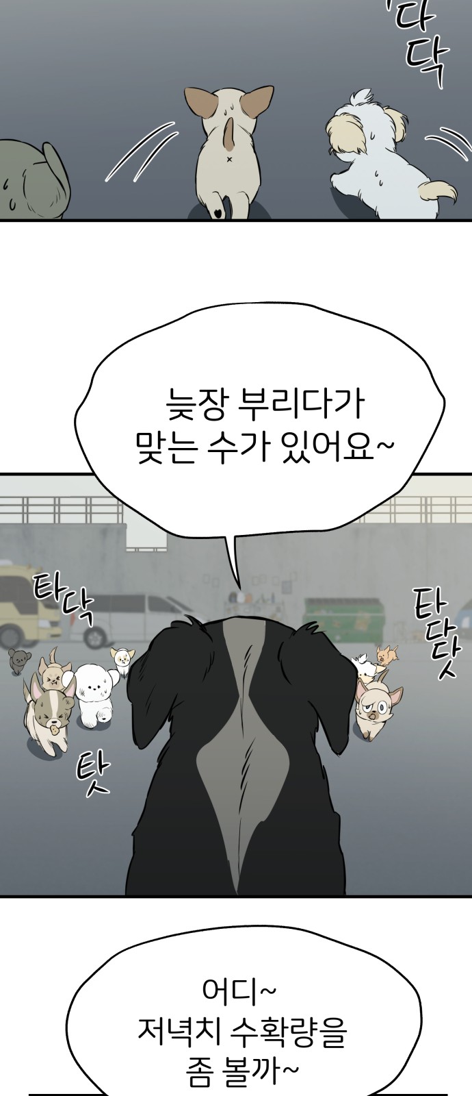 25 페이지