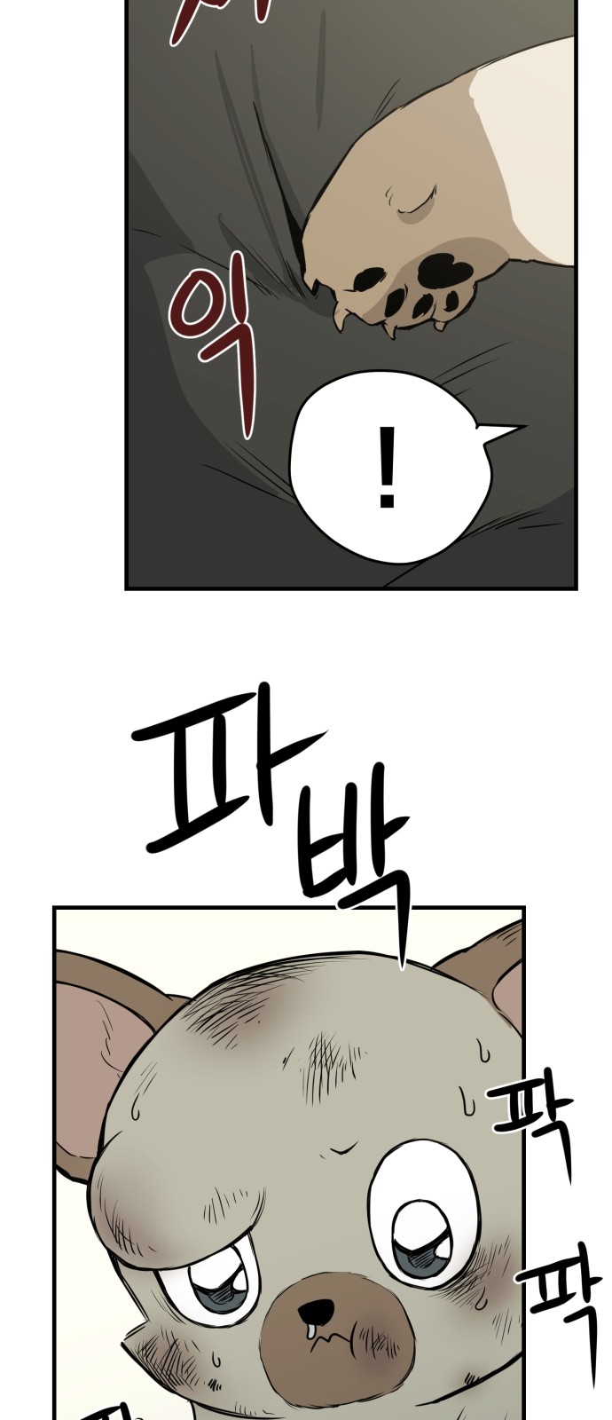 4 페이지