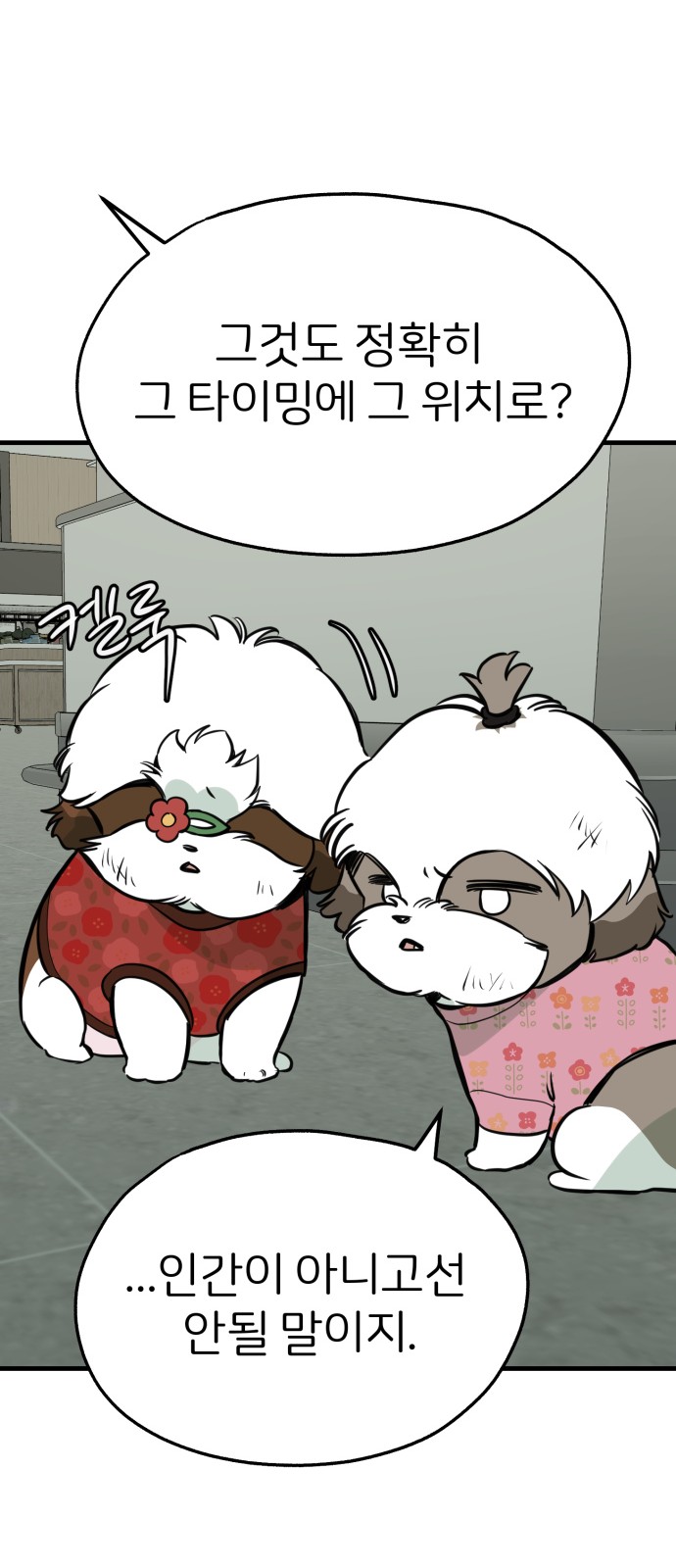 15 페이지