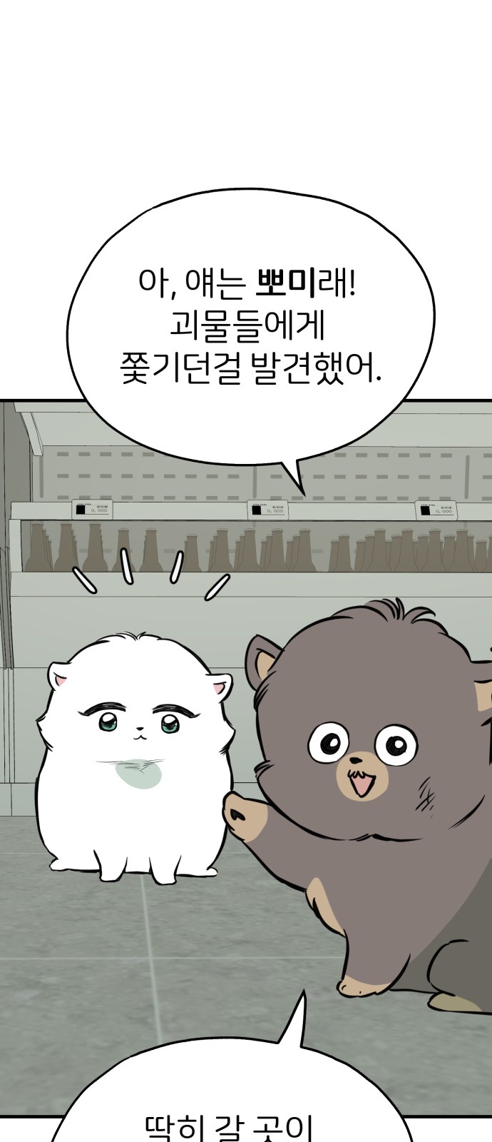 16 페이지