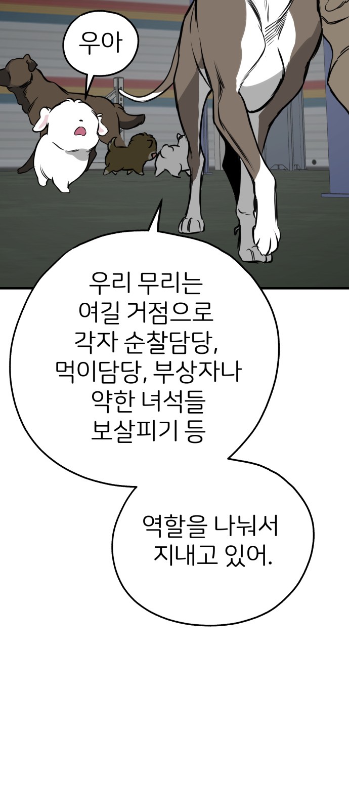 71 페이지