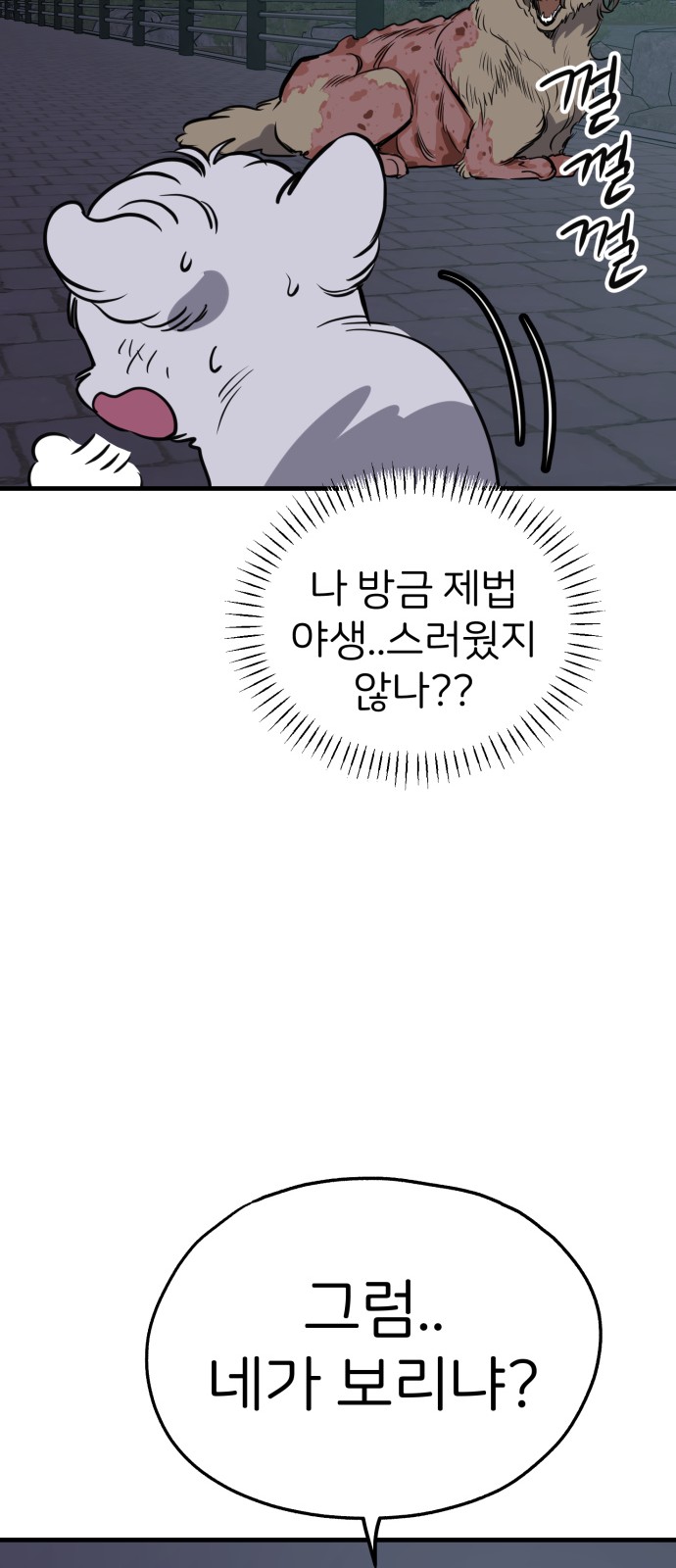 73 페이지